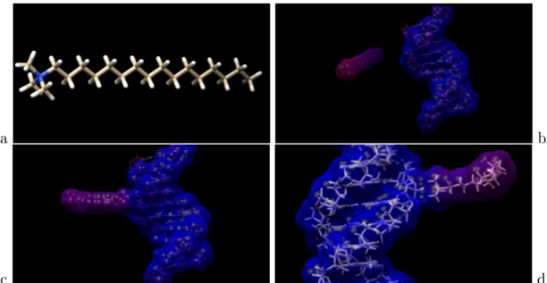 Figure 2.3.1: Role of the CTAB surfactant in gold nanoparticle-based gene de- de-livery