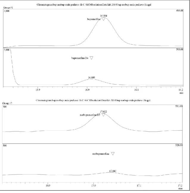 Figura 10. Cromatogramma di buprenorfina e norbuprenorfina rilevate dopo trattamento di ratti  Wistar con una dose di buprenorfina pari a 1mg/kg somministrata per via orale