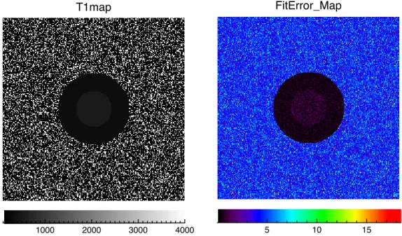 Fig.  3.8:  La  figura  a  sinistra  illustra  un  esempio  di  T 1  Map  in  scala  di  grigi,  con  relativa  colorbar  riferita  ai  valori  del  tempo T 1  (msec) di ogni pixel