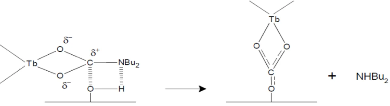 Figura 7: ipotesi per l'aggraffaggio di Tb(O 2 CNBu 2 ) 3 , su γ-allumina con formazione di ammina.