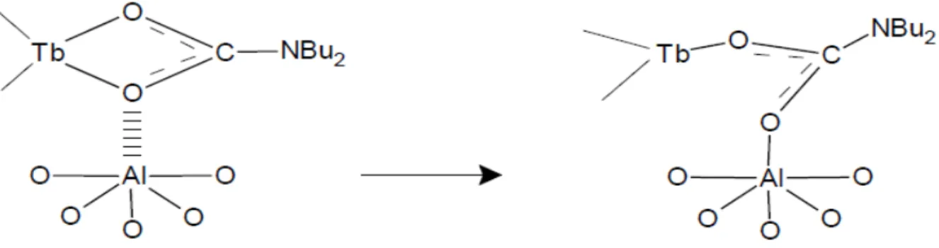 Figura 8: ipotesi per l'aggraffaggio di Tb(O 2 CNBu 2 ) 3 , su γ-allumina senza formazione di ammina.
