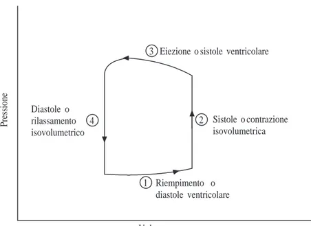 Figura 1.15: Il ciclo di lavoro del ventricolo nel piano pressione/volume.