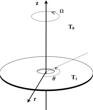 Figura 2.1: Disco rotante.
