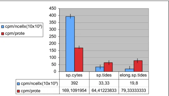 Figure 1 shows that the [ 35 S]met incorporation into TCA precipitable proteins detectable in  different cellular types is maximal for spermatocytes when expressed either as cpm/10 6 cells or  as cpm/mg protein