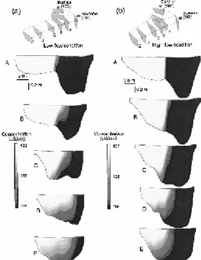 Fig.   2.2.9: Mixing of fluid from each tributary at Bayonne-Berthier confluence indicated by contours  of electrical conductivity values for: (a) low flow condition and (b) high flow condition; letters correspond to  position indicated in inset; vertical 