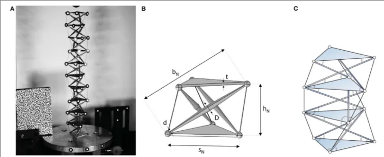 FIGURE 1 | The tensegrity column under test (A), CAD model of a single prism (B), and sketch of a portion of the model showing also the angular springs associated to the wedges of the S&amp;S structure (C).
