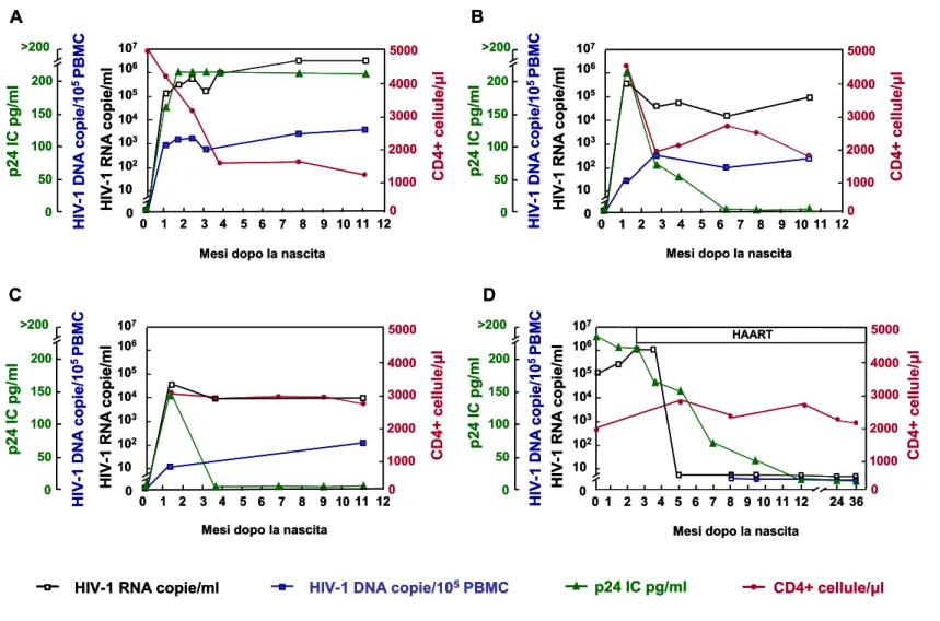 Figura 4. Esempi di profili virologici ed immunologici in neonati HIV-1-infetti non trattati (A, B e C) e trattati con la terapia antiretrovirale  altamente efficace (highly active antiretroiral therapy, HAART) (D) durante i primi mesi di vita