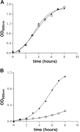 Figure 4.1. Growth curves of S. enterica serovar Typhimurium in synthetic media. 