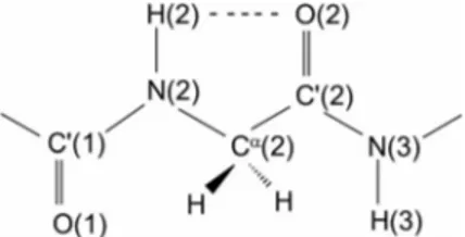 Figure 1. The 2 씮2 intramolecularly H-bonded (C 5 ) peptide con- con-formation for a Gly residue.