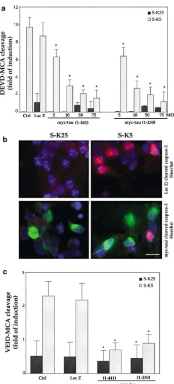 Figure 6 Overexpression of myc-tau largely inhibits caspase-3 activity and procaspase-3 activation in K5-deprived neurons