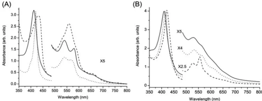 FIGURE 3. Low frequency (A) and high frequency (B) RR spectra of purified AvGReg178 (oxygenated form) (trace a), purified AvGReg (ferric form) (trace b), ferrous AvGReg178 (trace c), and ferrous AvGReg (trace d)