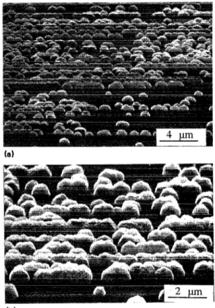 FIG.  1.  Nucleation  of  diamond  on  the  Si(  111)  terraced  surface  produced  by  cleavage:  (a)  top  view  of  the  decorated  “staircase,”  (b)  particular  view  of  diamond  crystallitea  (tilt=  55’)