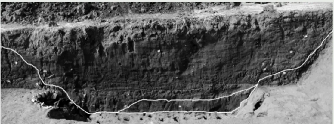 Fig. 5 – Parete sud dell’Area 5 Approfondimento (in evidenza i tagli relativi ai due fossati e, sulla sinistra il pozzo di  drenaggio contenente frammenti di tegole di impasto chiaro sabbioso).