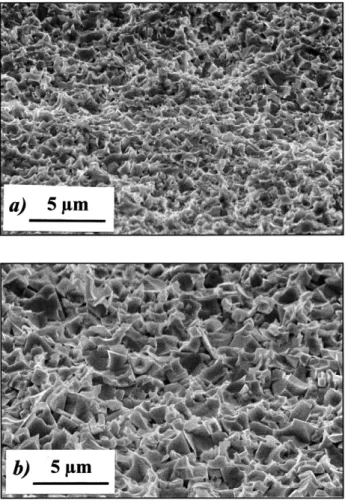 Fig. 3. SEM micrograph showing the typical flank surface morphol- morphol-ogy of as-received WC–Co inserts.