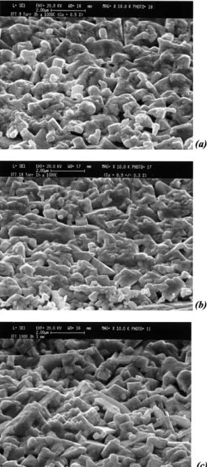 Fig. 6. Rake face morphologies of 3 mm-grained WC–Co substrates submitted to thermal pretreatment in 0.5% CH 4 yH atmosphere using2