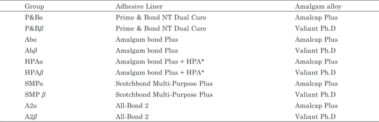 Table 1  Description of experimental groups