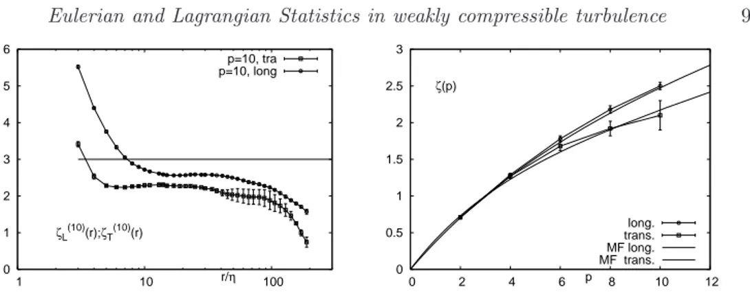 Figure 5. Left: longitudinal and transverse local scaling exponents, the same of fig. (4) but for p = 10