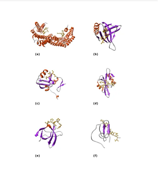 Figure  3:  three-dimensional  structures  of six  protein interaction  modules.  (a) 14-3-3  Zeta/Delta dimer in complex with phosphopeptides (PDB code: 1QJB)