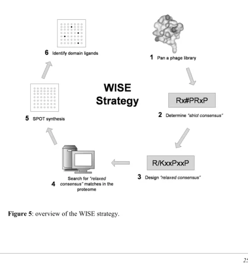 Figure 5: overview of the WISE strategy.