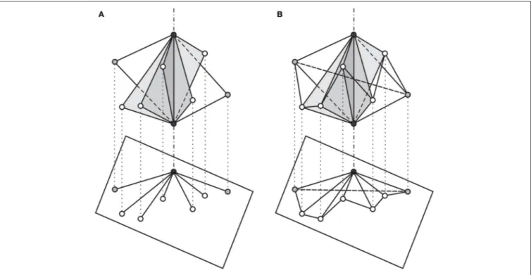 FIGURE 13 | Two phases, (A) and (B), of the Construction of a three-dimensional Grünbaum framework, and the corresponding projection onto a nonconvex Grünbaum polygon (see description in Section 3.2).