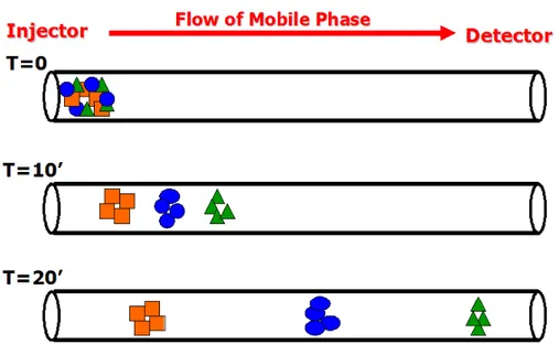 Fig. 2.6:example of the chemical separation by means of the mobile phase flow. 