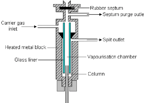 Fig. 2.7: split structure in a GC injector. 