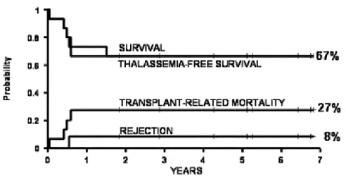 Figure 3. Estimates of survival, thalassemia-free survival, non-rejection mortality and  rejection in 15 adult patients treated with Protocol 26 regimen