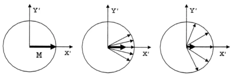 Figura  1.4:  Defasamento  degli  spin  e  rilassamento  trasversale  della  magnetizzazione  nel  sistema di coordinate rotanti (definito alla pagina seguente)