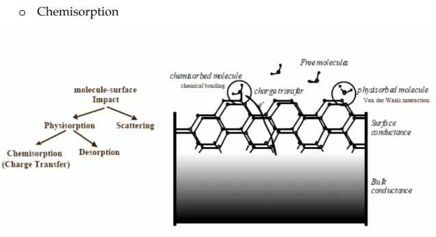 Fig. 1.3.2: Schematic representation of sorption phenomena. 