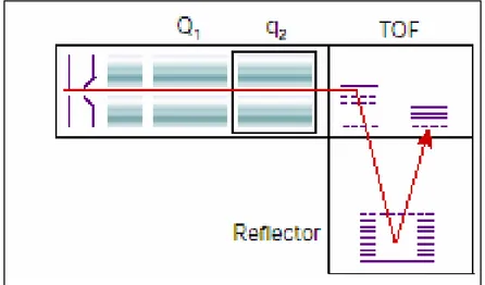 Fig. 2.13. Quadrupole-TOF 