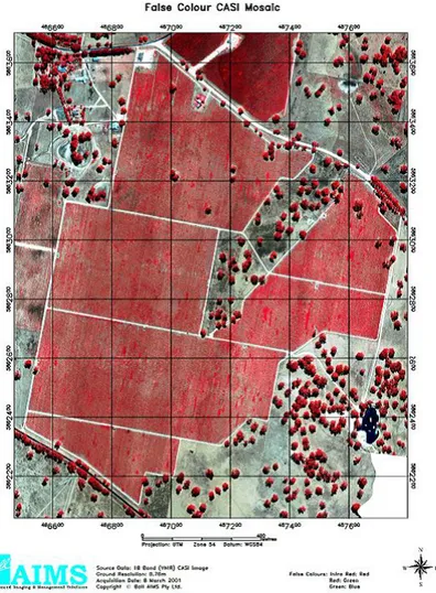 Figure 1.7: The CASI-2 false colour image mosaic of a vineyard in Coon- Coon-awarra after radiometric and geometric corrections, (Arkun et al., 2005).
