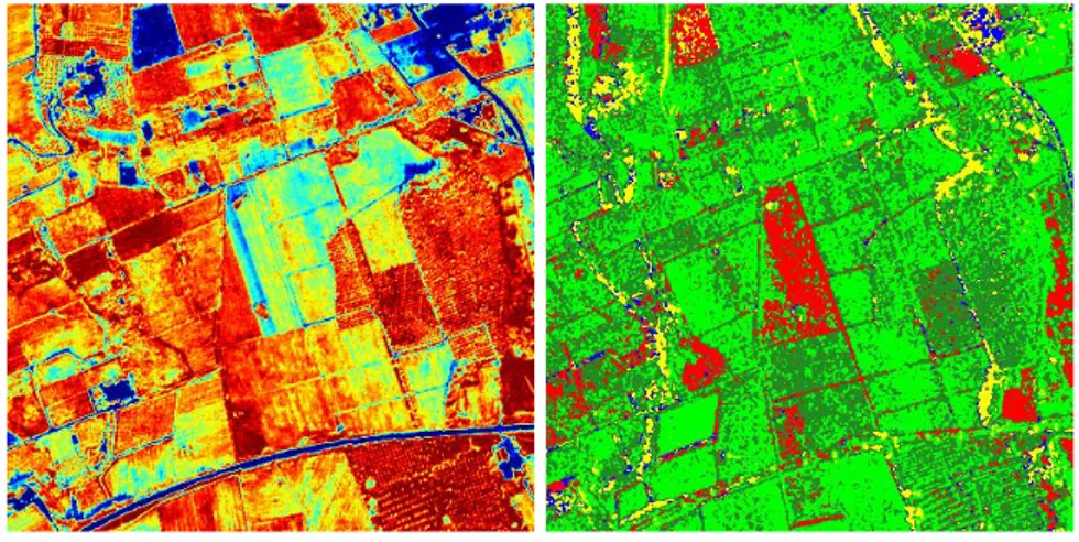Figure 2.8: The Vigour Index map (left) is compared to the C and L Band (40 ◦ ) classification(right): Radar provides the correct interpretation of the