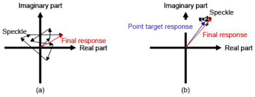 Figure 2.8: Coherent response of a given resolution cell (a) without a dominant scatterer, (b) with a dominant scatterer [69].