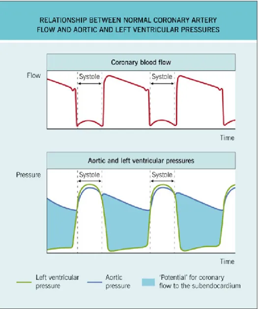 Figura  1:  Relazione  tra  il  flusso  coronarico  e  le  pressioni  in  aorta  e  ventricolo  sinistro