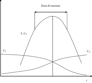 Figura 1.7 - Andamenti con il raggio delle concentrazioni   delle specie e della temperatura (fiamma reale) ([2]) 