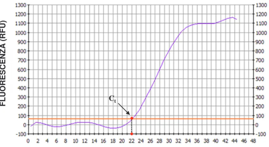 Fig. 2.2 Curva di amplificazione 