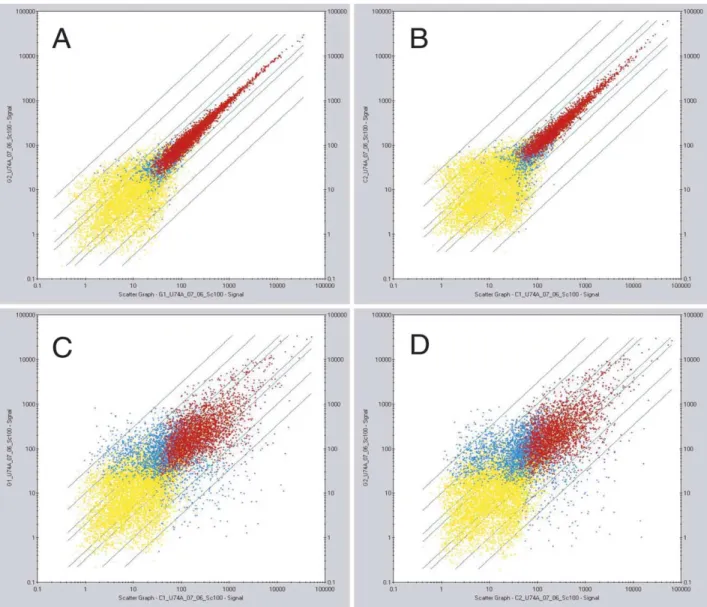 Fig. 1. Analysis of the homogeneity of microarray generated signals between duplicate samples of spermatogonia and spermatocyte cRNA probes, and comparative analysis of the divergence between spermatogonia and spermatocytes