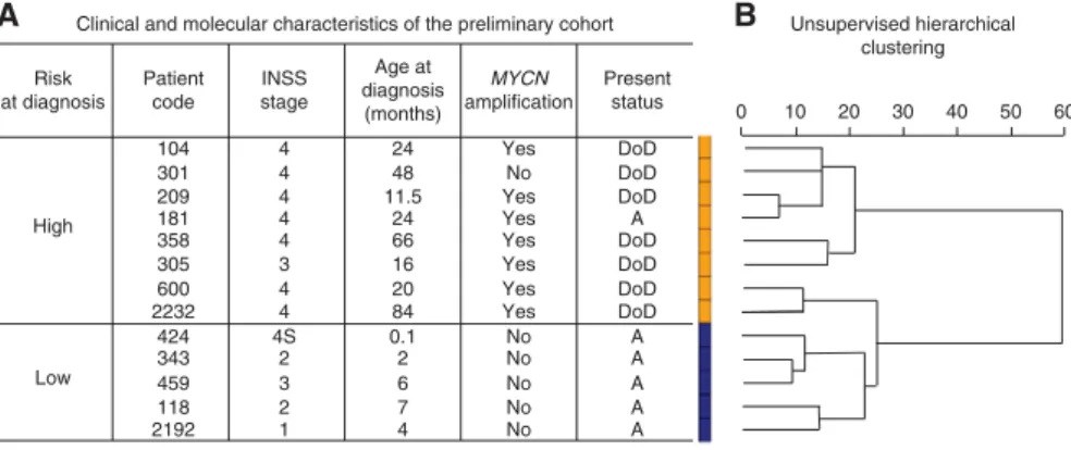 Figure 1 Patients characteristics and tumour clustering using miRNA expression profiling