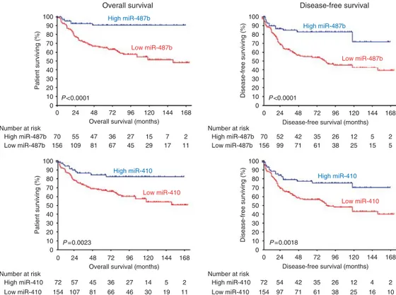 Figure 4 Kaplan – Meier curves for overall and disease-free survival of the whole neuroblastoma cohort (n ¼ 226) for miR-487b and miR-410 expression.