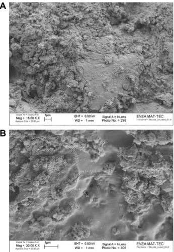 Figure 1 shows the SEM of the multienzyme biocatalyst before (A) and after (B) LbL coating