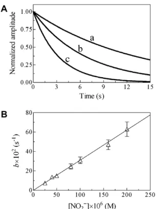 Fig. 3. Kinetics of NO 2  -mediated reduction of trHbO-heme-Fe(IV)@O, at pH 7.0 and 20.0 °C