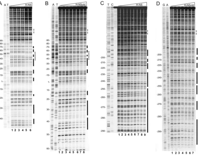 Figure 1. DNase I footprinting of the virF promoter with H-NS and H-NSctd at equilibrium