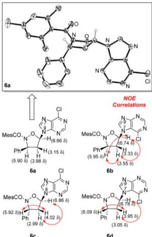 Table 2. Metabolic Acitivities of Compounds 6a−d