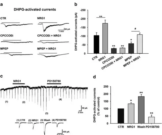 Figure 1. Neuregulin 1 (NRG1)-induced upregulation of metabotropic glutamate receptor 1 (mGluR1)-activated currents