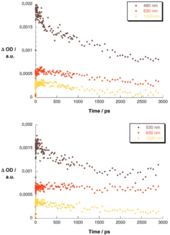 Figure 10. Upper part: time-absorption profiles at 480, 640, and 1000 nm of the differential absorption measurements with C 60  -oligo-PPE 2 -ZnP in THF solutions