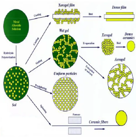 Figura 1.1  Descrizione del processo sol-gel ed dei prodotti ottenuti.