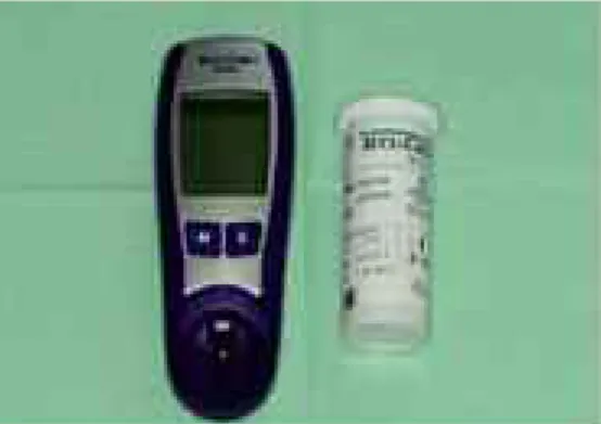 Figura  1 Apparecchio digitale in stick per il controllo istantaneo del valore glicemico.