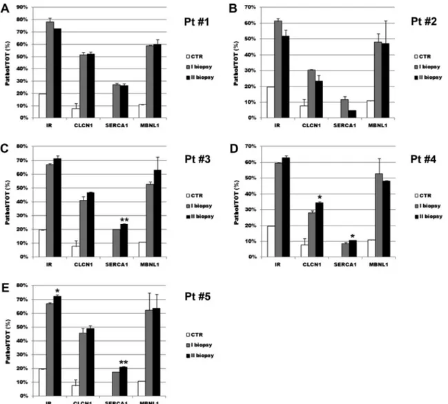 Fig. 5. Splicing analysis of the IR, CLCN1, SERCA1 and MBNL1 genes in muscle samples from 2 control subjects and from two successive biopsies of 5 DM2 patients (A–E)