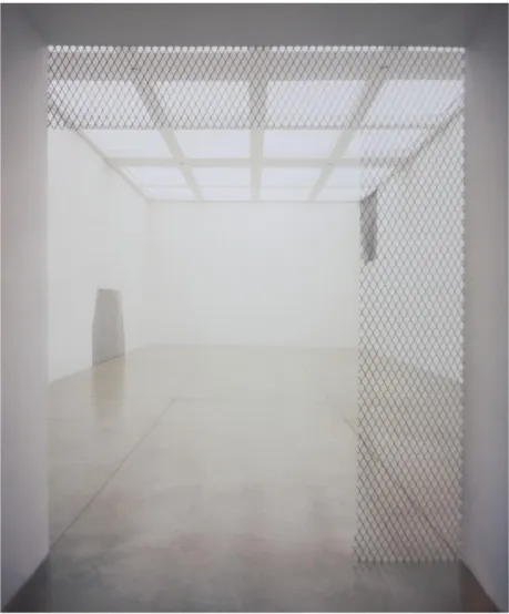 FIG. 17 – D. SALCEDO, Neither, 2004. 