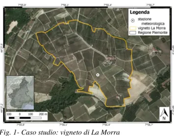 Fig. 1- Caso studio: vigneto di La Morra   Fig. 1- Vineyard case study: La Morra 